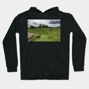 Roman Temple Hoodie